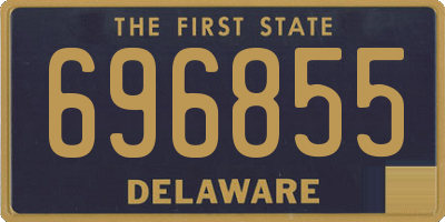 DE license plate 696855