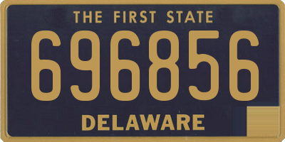 DE license plate 696856