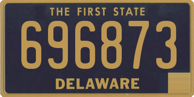 DE license plate 696873