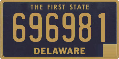 DE license plate 696981