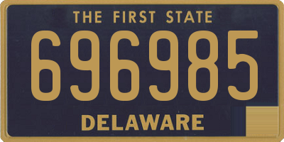 DE license plate 696985