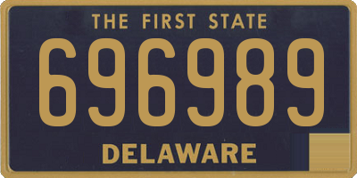 DE license plate 696989