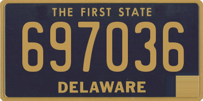 DE license plate 697036