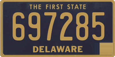 DE license plate 697285