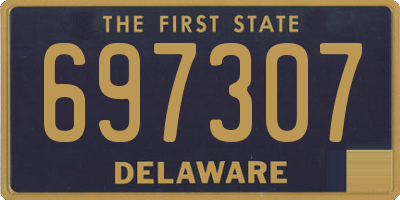 DE license plate 697307
