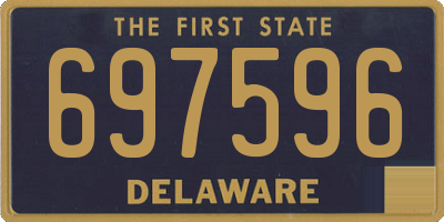 DE license plate 697596