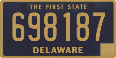 DE license plate 698187
