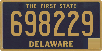DE license plate 698229