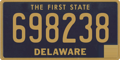 DE license plate 698238