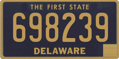 DE license plate 698239