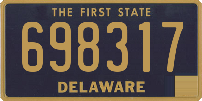 DE license plate 698317