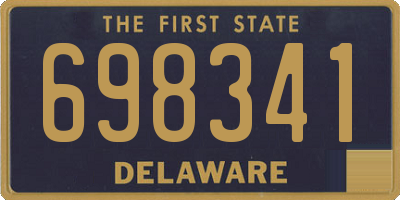 DE license plate 698341