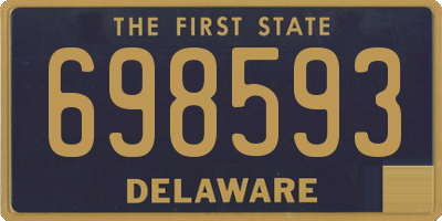 DE license plate 698593