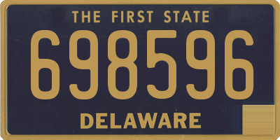 DE license plate 698596
