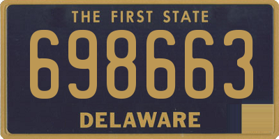 DE license plate 698663