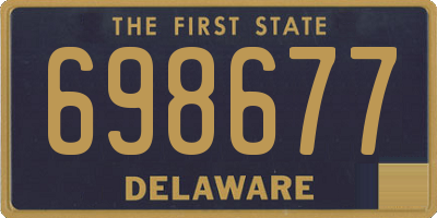 DE license plate 698677