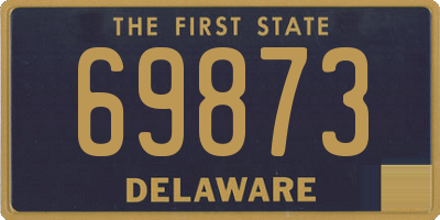 DE license plate 69873