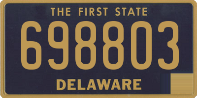 DE license plate 698803