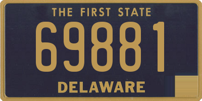 DE license plate 69881