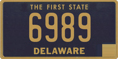 DE license plate 6989