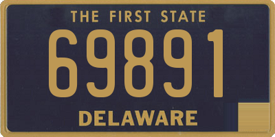 DE license plate 69891