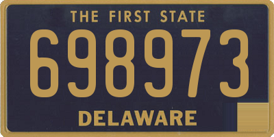 DE license plate 698973