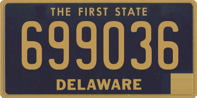 DE license plate 699036