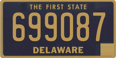 DE license plate 699087