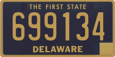 DE license plate 699134