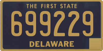 DE license plate 699229