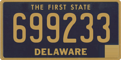DE license plate 699233