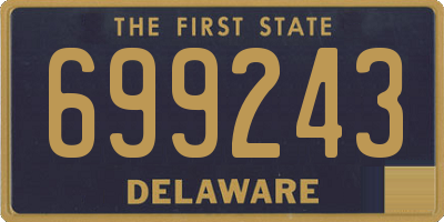 DE license plate 699243