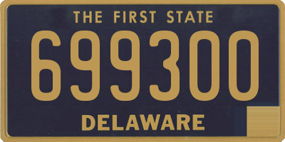 DE license plate 699300