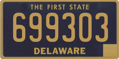 DE license plate 699303