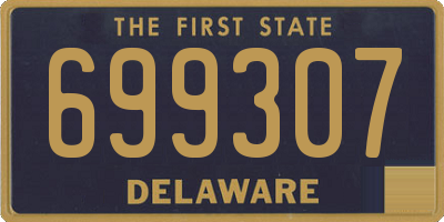 DE license plate 699307