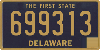 DE license plate 699313
