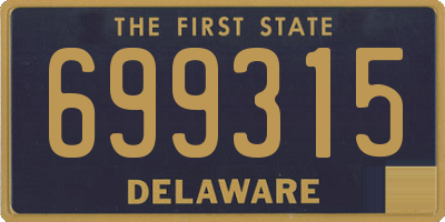 DE license plate 699315