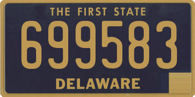 DE license plate 699583