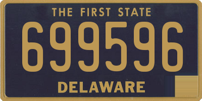 DE license plate 699596