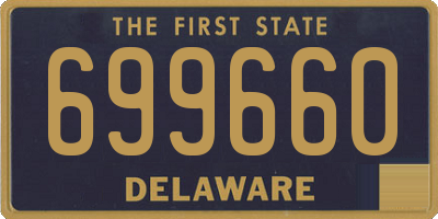 DE license plate 699660