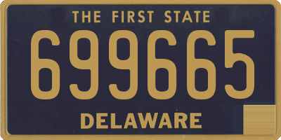 DE license plate 699665