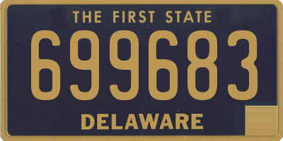 DE license plate 699683