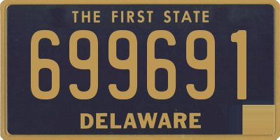 DE license plate 699691
