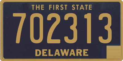DE license plate 702313