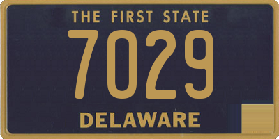 DE license plate 7029
