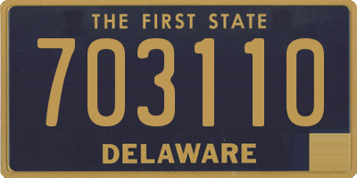 DE license plate 703110