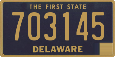 DE license plate 703145