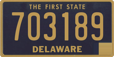 DE license plate 703189