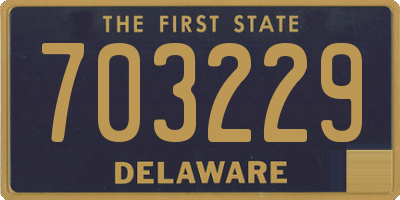 DE license plate 703229