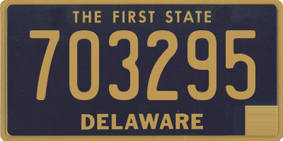 DE license plate 703295